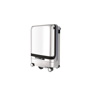 Smart Follow Luggage